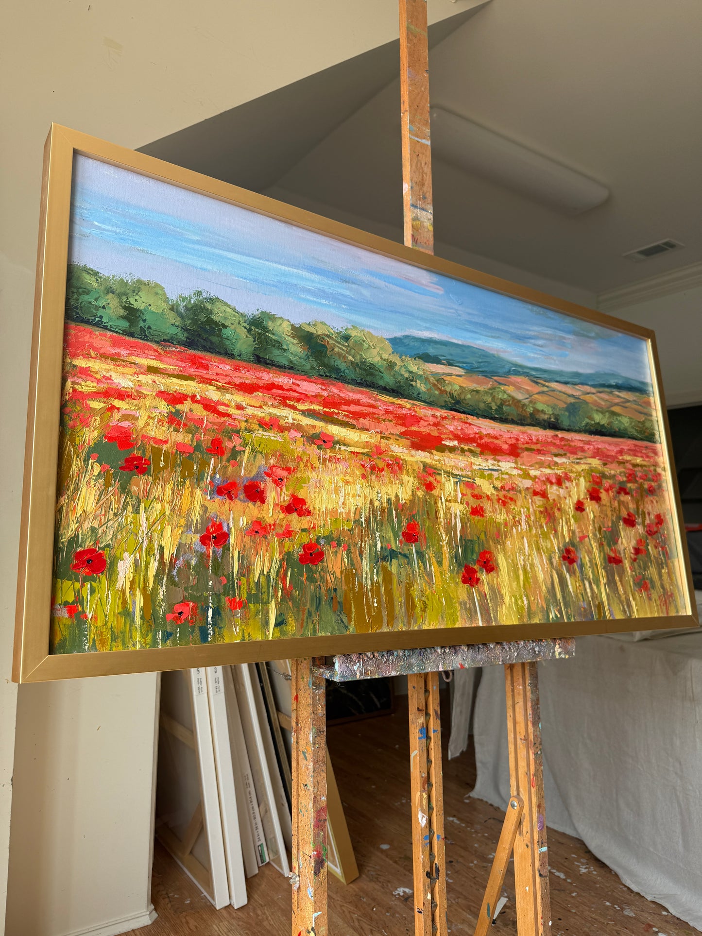 Scotland Poppies, Size 24 x 48