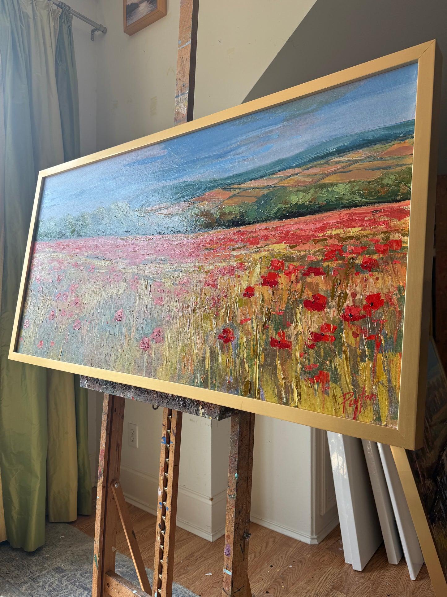Scotland Poppies, Size 24 x 48