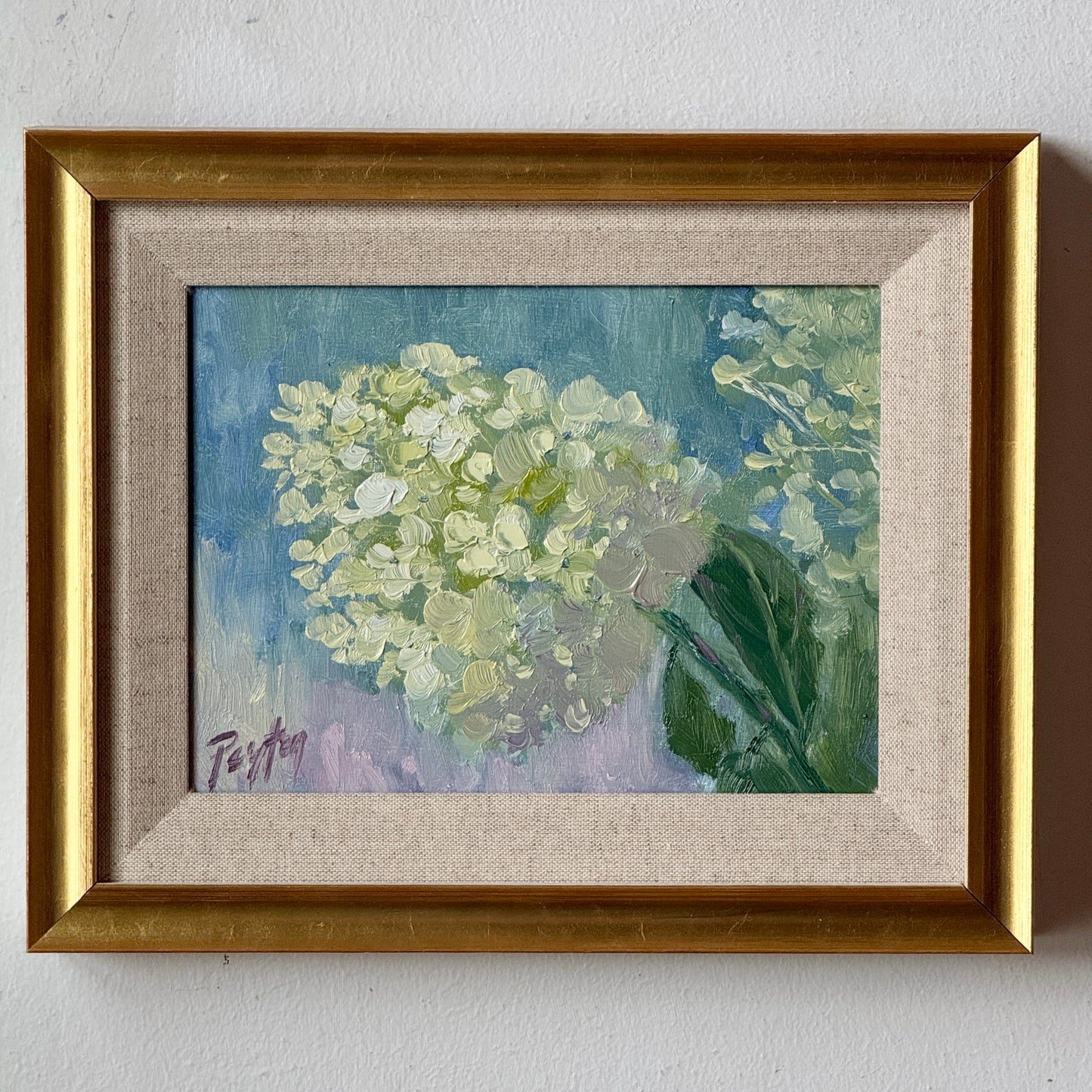 Limelight, Size 9 x 11