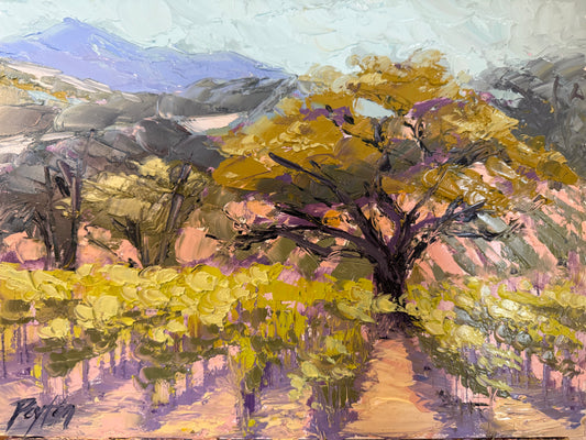 Napa Valley Painting Raffle